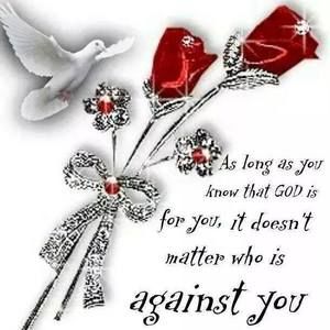 Meet your Posher, Donald